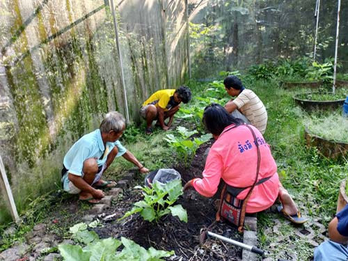 Gardening for children Gardening
